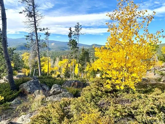 1502 Osage Trail Red Feather Lakes, CO 80545