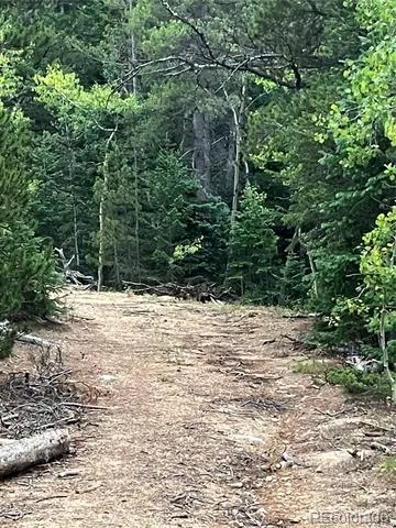 850 Lupine Place Black Hawk, CO 80422