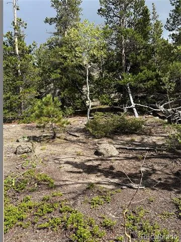 850 Lupine Place Black Hawk, CO 80422