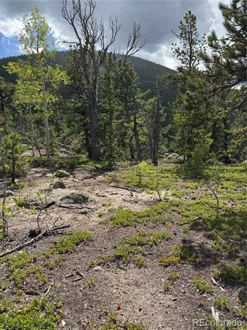 850 Lupine Place Black Hawk, CO 80422