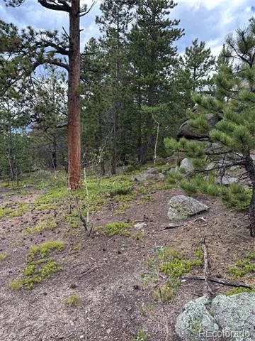 850 Lupine Place Black Hawk, CO 80422