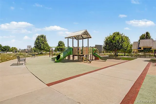 652 Sundance Drive Windsor, CO 80550