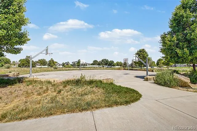 652 Sundance Drive Windsor, CO 80550