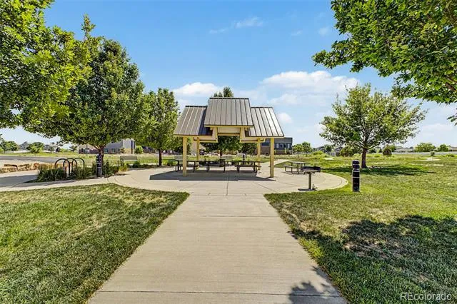 652 Sundance Drive Windsor, CO 80550