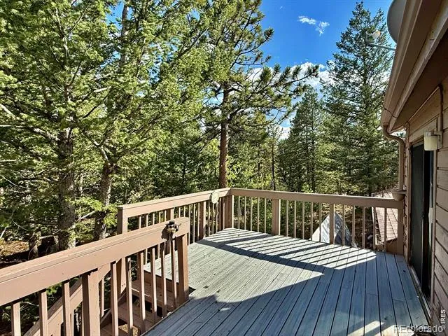 6687 Overland Road Ward, CO 80481