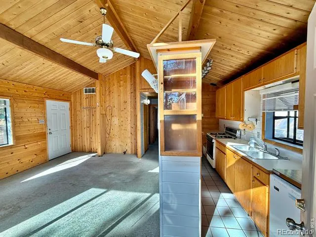 6687 Overland Road Ward, CO 80481