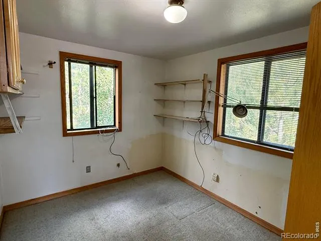 6687 Overland Road Ward, CO 80481