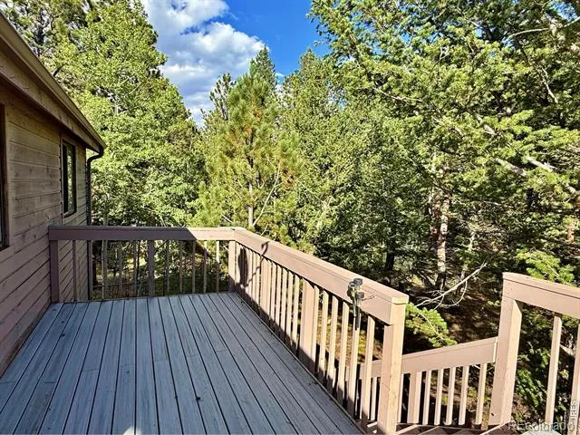 6687 Overland Road Ward, CO 80481