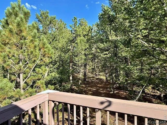 6687 Overland Road Ward, CO 80481
