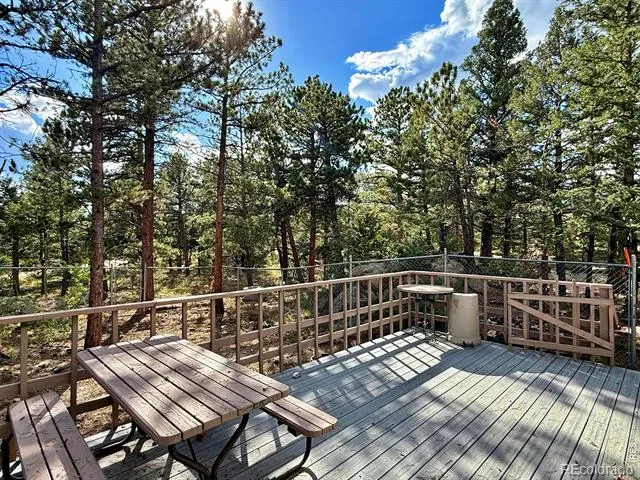 6687 Overland Road Ward, CO 80481