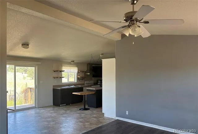 1326 Kaufman Road Hartsel, CO 80449