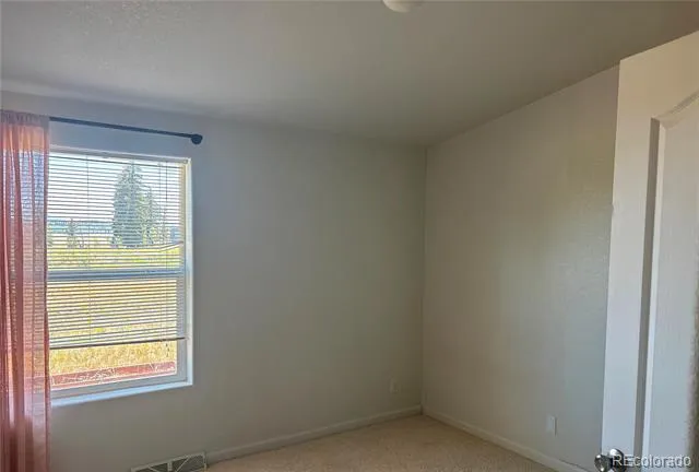 1326 Kaufman Road Hartsel, CO 80449