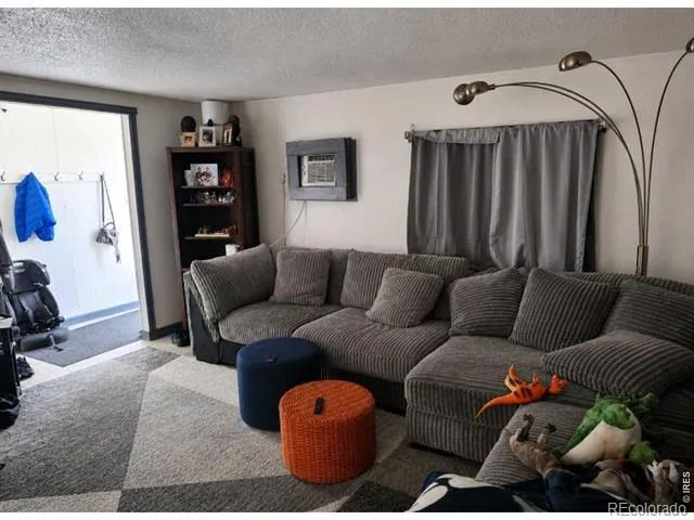 9024 Orleans Street Denver, CO 80260