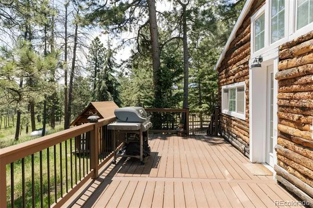 6744 Marshmerry Lane Evergreen, CO 80439