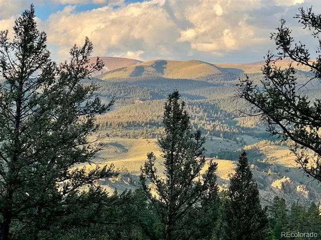640 Edward E Hill Drive Twin Lakes, CO 81251