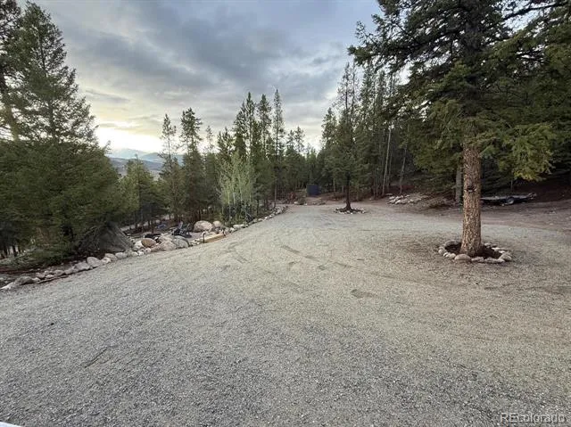 640 Edward E Hill Drive Twin Lakes, CO 81251