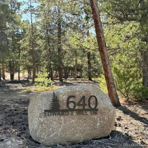 640 Edward E Hill Drive Twin Lakes, CO 81251