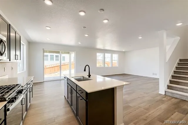 4105 Runyon Lake Street Brighton, CO 80601