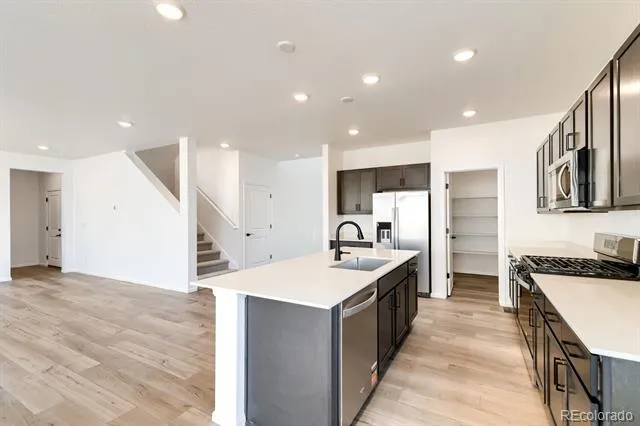 4105 Runyon Lake Street Brighton, CO 80601