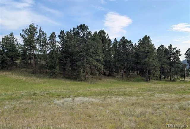 1379 S Mountain Estates Road Florissant, CO 80816