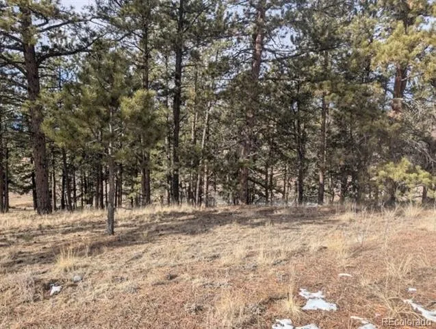 1379 S Mountain Estates Road Florissant, CO 80816