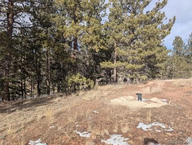 1379 S Mountain Estates Road Florissant, CO 80816
