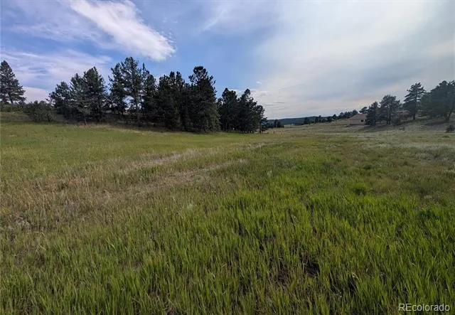 1379 S Mountain Estates Road Florissant, CO 80816