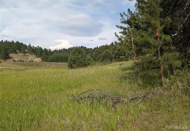 1379 S Mountain Estates Road Florissant, CO 80816