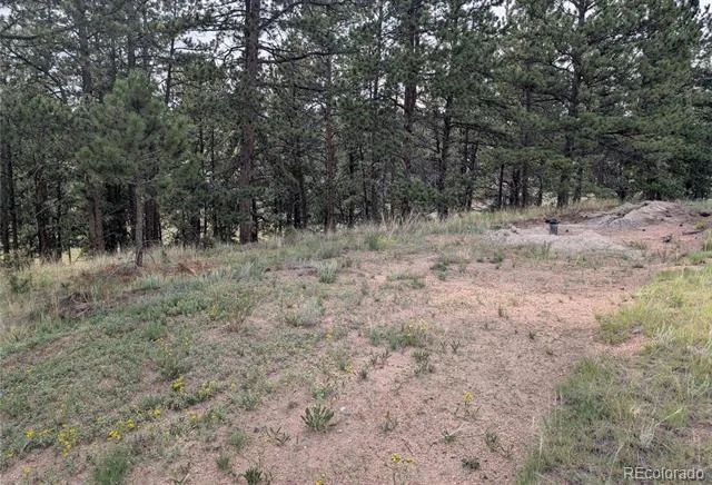 1379 S Mountain Estates Road Florissant, CO 80816