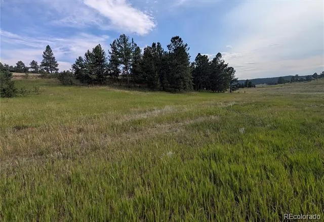 1379 S Mountain Estates Road Florissant, CO 80816