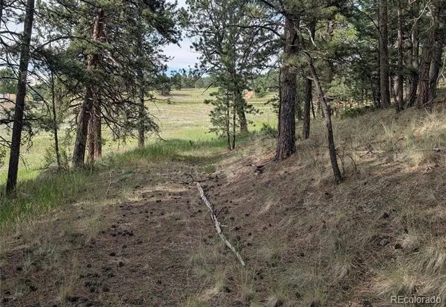 1379 S Mountain Estates Road Florissant, CO 80816