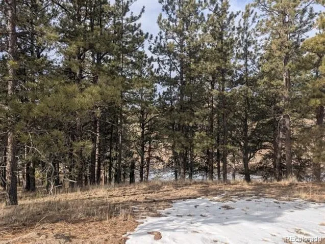 1379 S Mountain Estates Road Florissant, CO 80816
