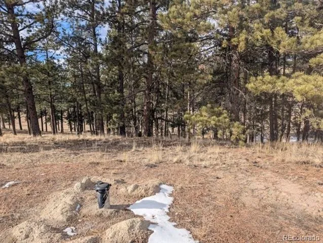 1379 S Mountain Estates Road Florissant, CO 80816