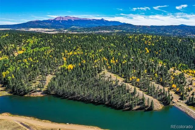 124 Cradle Lake Drive Divide, CO 80814