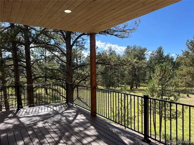 240 Mountain Estates Road Florissant, CO 80816