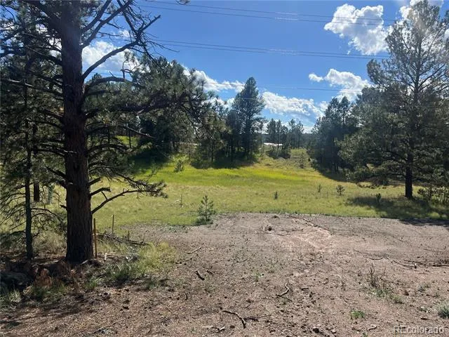 240 Mountain Estates Road Florissant, CO 80816