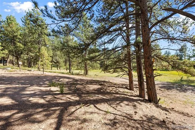 240 Mountain Estates Road Florissant, CO 80816