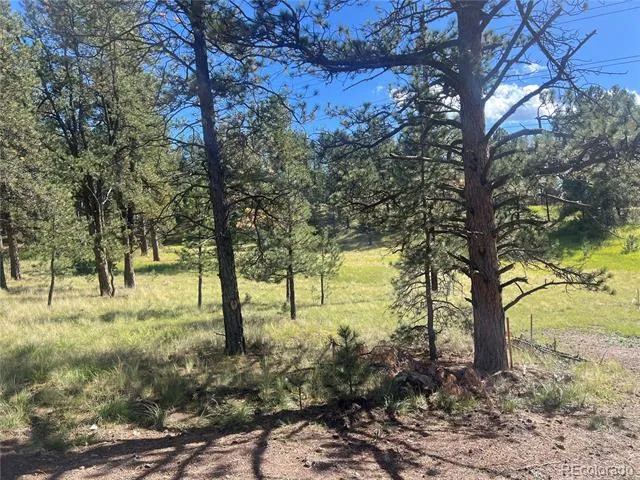 240 Mountain Estates Road Florissant, CO 80816