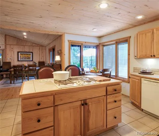 6 Bear Paw S Court Antonito, CO 81120