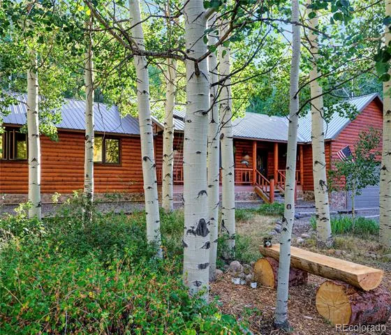 6 Bear Paw S Court Antonito, CO 81120