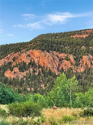 6 Bear Paw S Court Antonito, CO 81120
