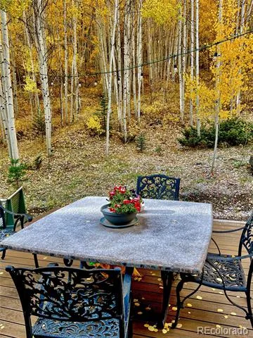 6 Bear Paw S Court Antonito, CO 81120