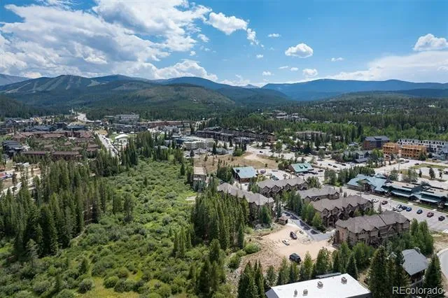 208 Red Quill Way Winter Park, CO 80482