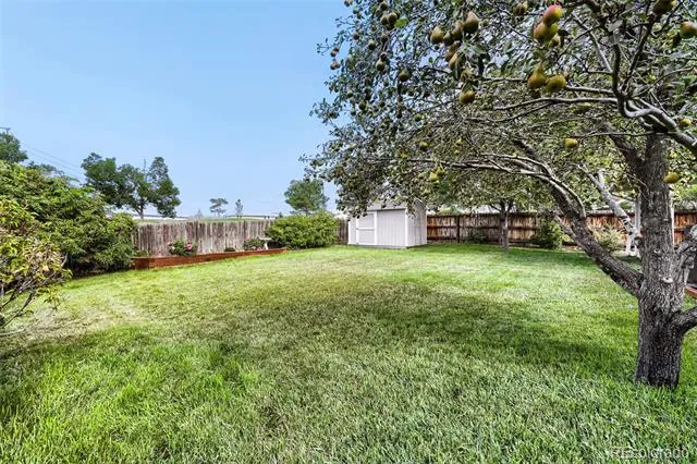 11221 Otis Street Broomfield, CO 80020