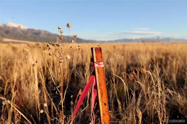 620 & 621 Pine Cone Road Crestone, CO 81131