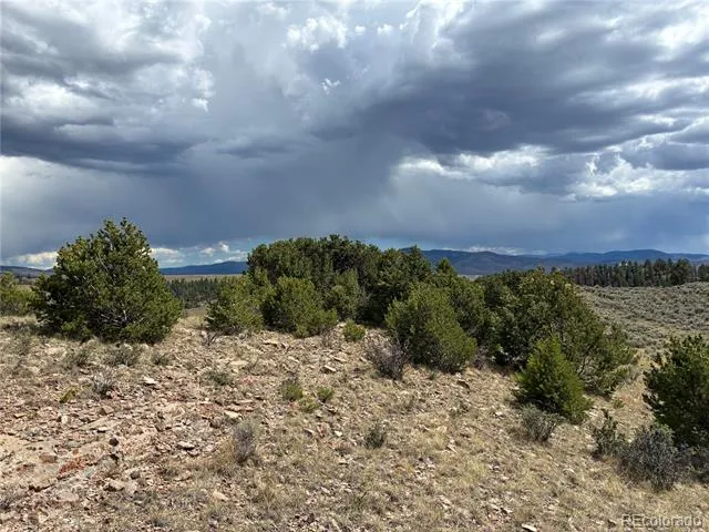 LOT 114 Lautenberg Drive Fort Garland, CO 81133