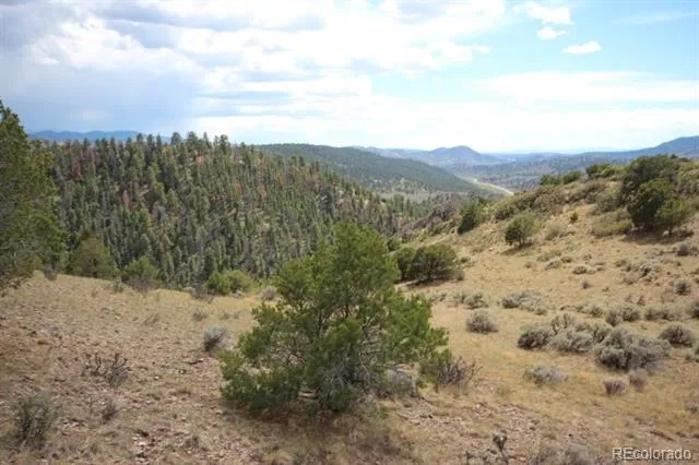 LOT 114 Lautenberg Drive Fort Garland, CO 81133