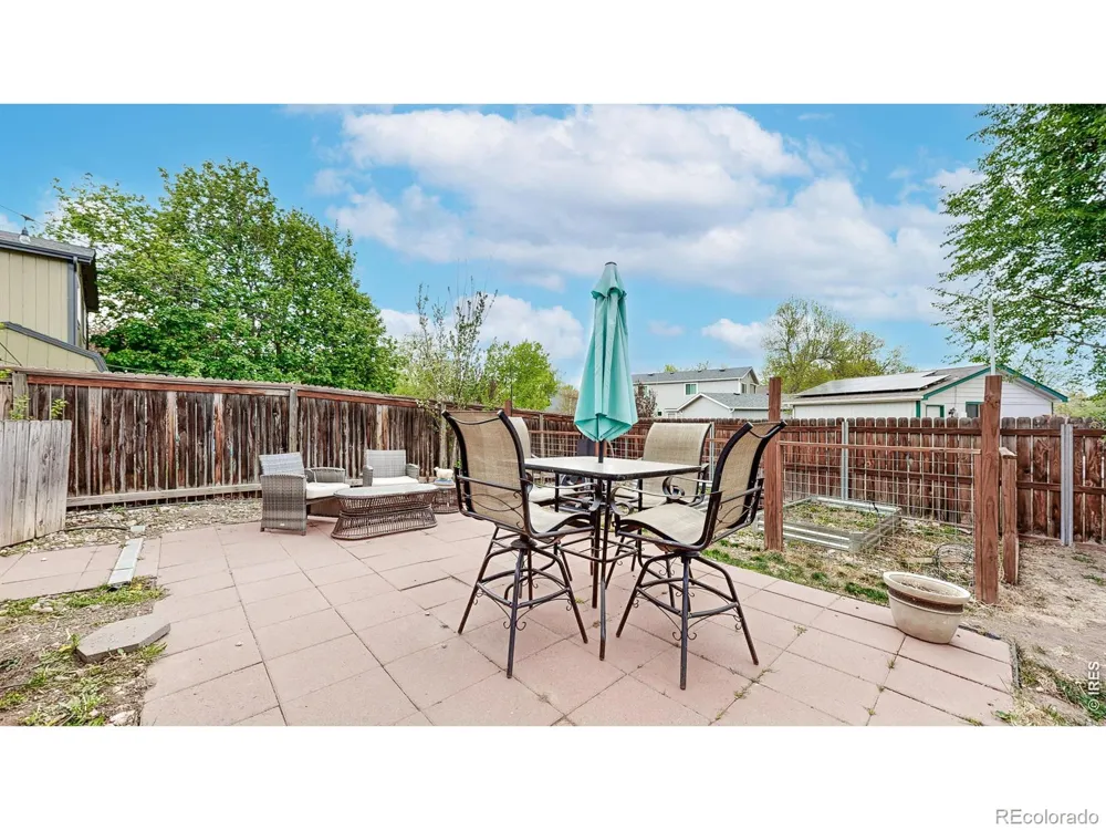 1624 Enfield Street Fort Collins, CO 80526