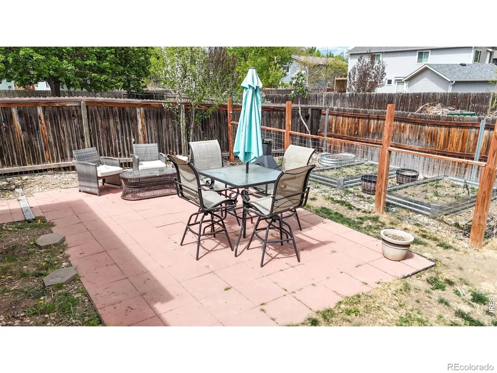 1624 Enfield Street Fort Collins, CO 80526