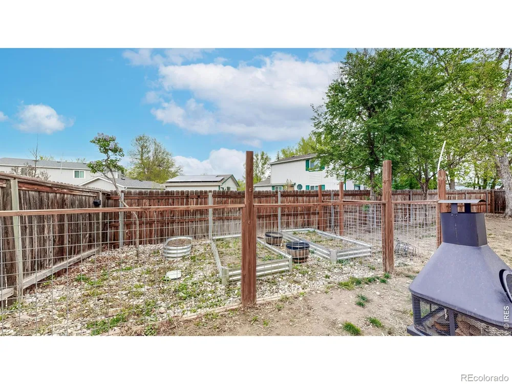1624 Enfield Street Fort Collins, CO 80526
